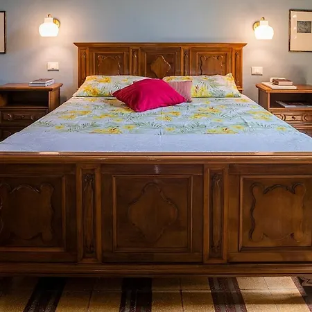 Windrose Lifestyle * Livorno